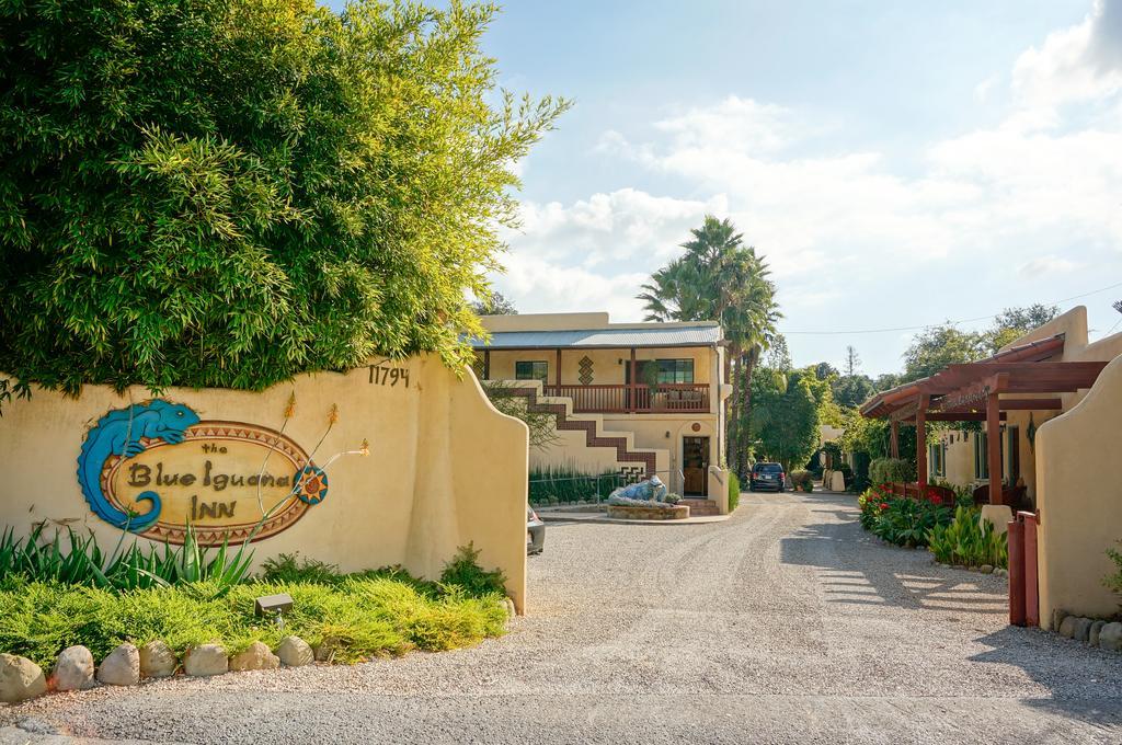 Blue Iguana Inn オーハイ エクステリア 写真